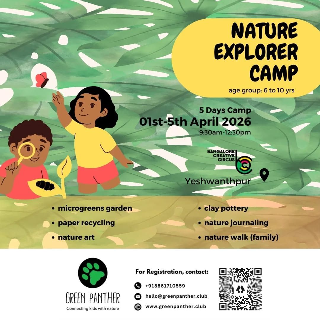 Nature Explorer Camp